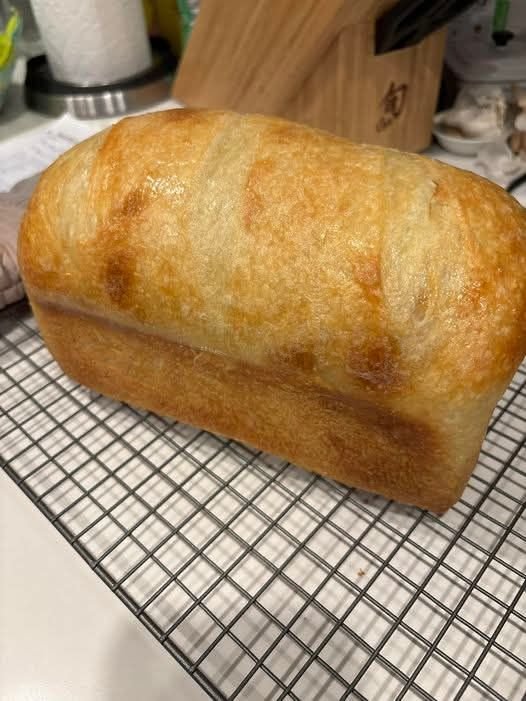 Sourdough sandwich loaf